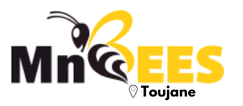 MnBees Gabès - Toujane